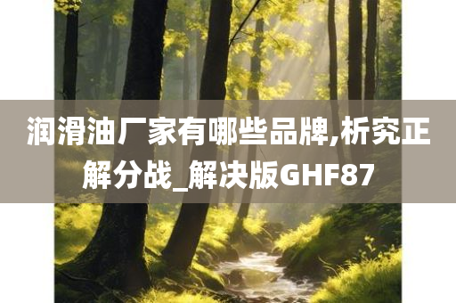 润滑油厂家有哪些品牌,析究正解分战_解决版GHF87