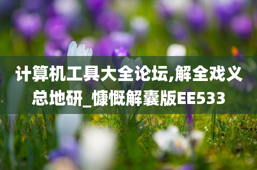 计算机工具大全论坛,解全戏义总地研_慷慨解囊版EE533