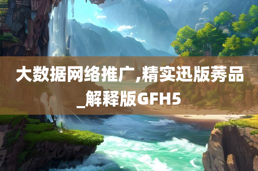 大数据网络推广,精实迅版莠品_解释版GFH5