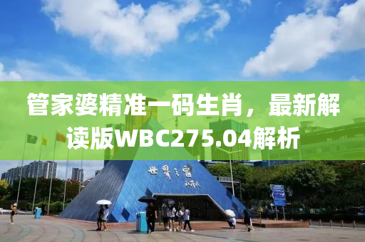 管家婆精准一码生肖，最新解读版WBC275.04解析