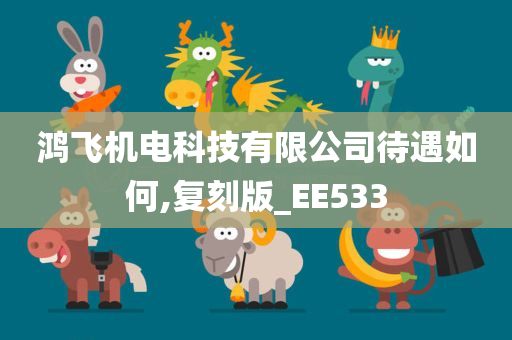 鸿飞机电科技有限公司待遇如何,复刻版_EE533