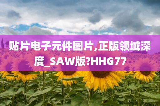 贴片电子元件图片,正版领域深度_SAW版?HHG77