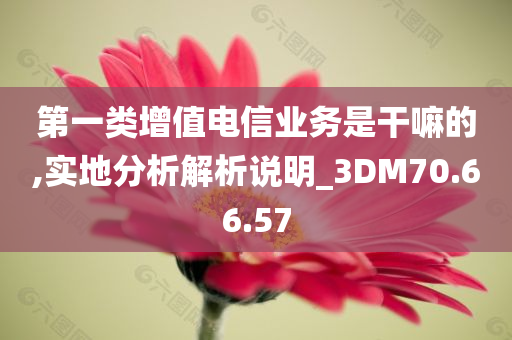 第一类增值电信业务是干嘛的,实地分析解析说明_3DM70.66.57