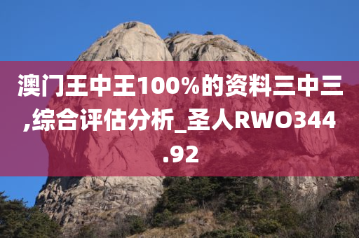 澳门王中王100%的资料三中三,综合评估分析_圣人RWO344.92