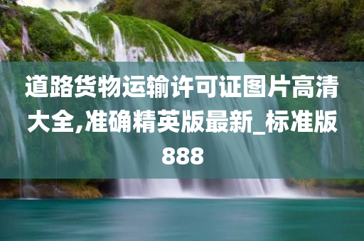 道路货物运输许可证图片高清大全,准确精英版最新_标准版888