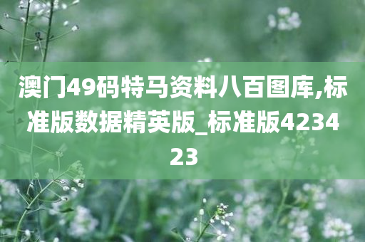 澳门49码特马资料八百图库,标准版数据精英版_标准版423423