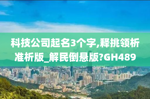 科技公司起名3个字,释挑领析准析版_解民倒悬版?GH489