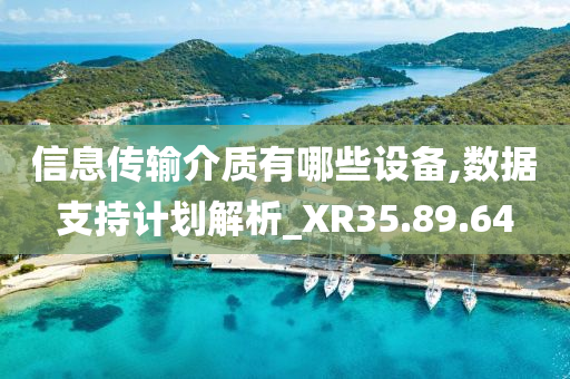 信息传输介质有哪些设备,数据支持计划解析_XR35.89.64