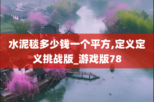 水泥毯多少钱一个平方,定义定义挑战版_游戏版78