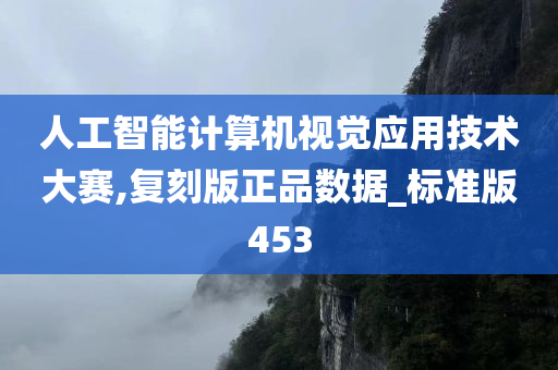 人工智能计算机视觉应用技术大赛,复刻版正品数据_标准版453