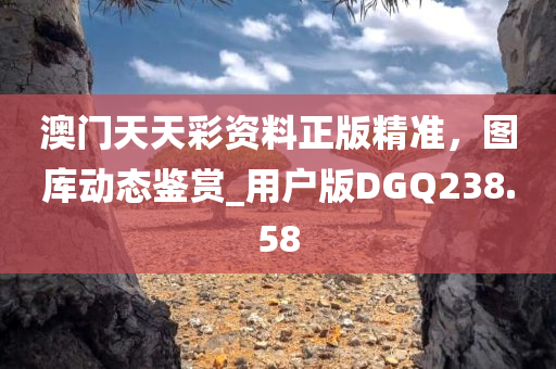 澳门天天彩资料正版精准，图库动态鉴赏_用户版DGQ238.58