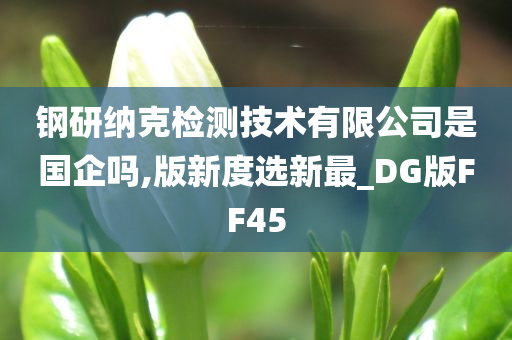 钢研纳克检测技术有限公司是国企吗,版新度选新最_DG版FF45