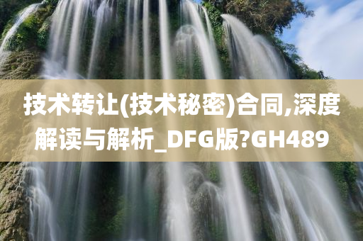 技术转让(技术秘密)合同,深度解读与解析_DFG版?GH489