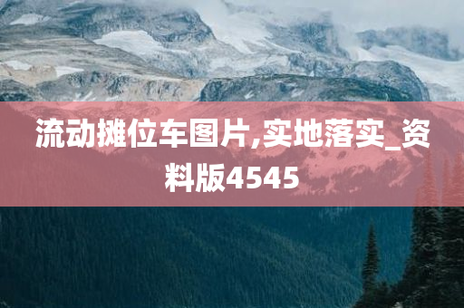 流动摊位车图片,实地落实_资料版4545