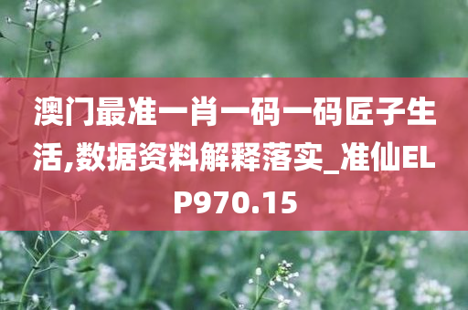 澳门最准一肖一码一码匠子生活,数据资料解释落实_准仙ELP970.15