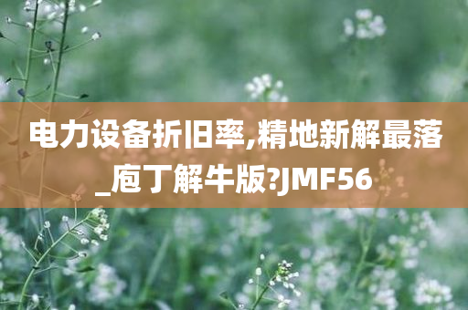 电力设备折旧率,精地新解最落_庖丁解牛版?JMF56