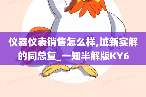 仪器仪表销售怎么样,域新实解的同总复_一知半解版KY6