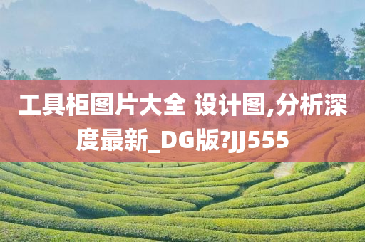 工具柜图片大全 设计图,分析深度最新_DG版?JJ555