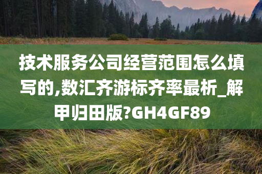 技术服务公司经营范围怎么填写的,数汇齐游标齐率最析_解甲归田版?GH4GF89