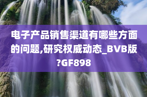 电子产品销售渠道有哪些方面的问题,研究权威动态_BVB版?GF898