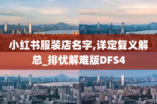 小红书服装店名字,详定复义解总_排忧解难版DFS4