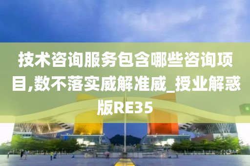 技术咨询服务包含哪些咨询项目,数不落实威解准威_授业解惑版RE35