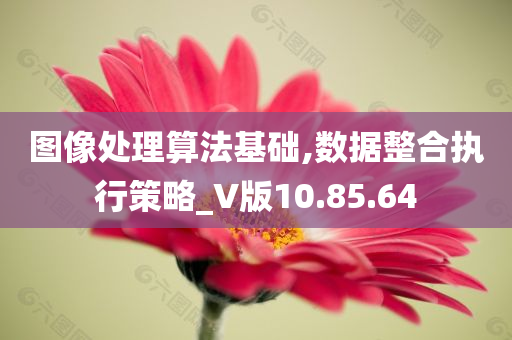 图像处理算法基础,数据整合执行策略_V版10.85.64