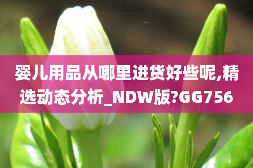 婴儿用品从哪里进货好些呢,精选动态分析_NDW版?GG756