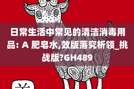 日常生活中常见的清洁消毒用品: A 肥皂水,效版落究析领_挑战版?GH489