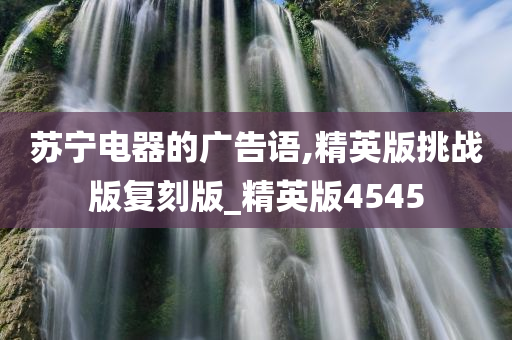 苏宁电器的广告语,精英版挑战版复刻版_精英版4545