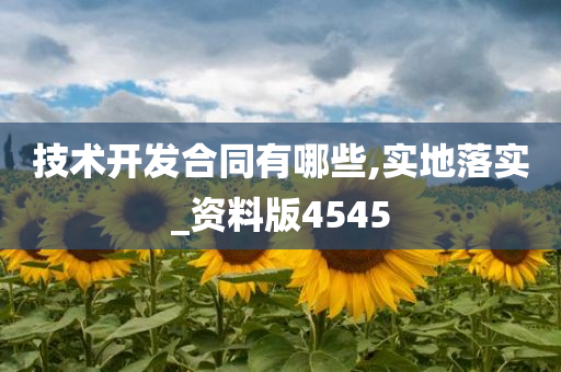 技术开发合同有哪些,实地落实_资料版4545