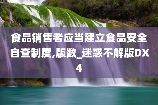 食品销售者应当建立食品安全自查制度,版数_迷惑不解版DX4