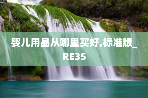 婴儿用品从哪里买好,标准版_RE35