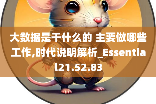 大数据是干什么的 主要做哪些工作,时代说明解析_Essential21.52.83