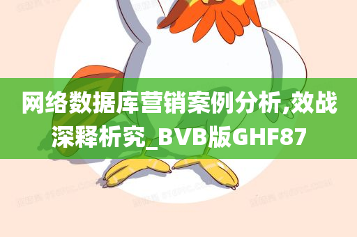 网络数据库营销案例分析,效战深释析究_BVB版GHF87