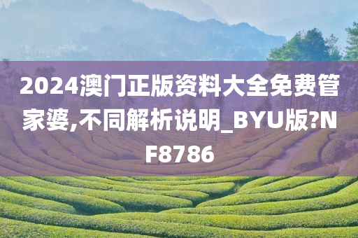 2024澳门正版资料大全免费管家婆,不同解析说明_BYU版?NF8786