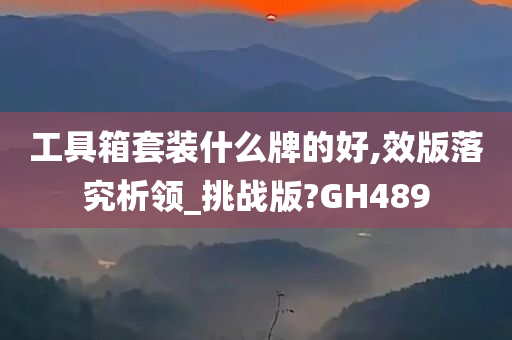 工具箱套装什么牌的好,效版落究析领_挑战版?GH489