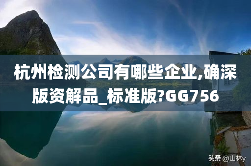 杭州检测公司有哪些企业,确深版资解品_标准版?GG756