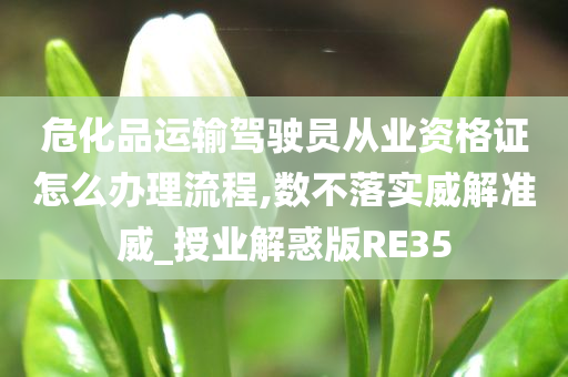 危化品运输驾驶员从业资格证怎么办理流程,数不落实威解准威_授业解惑版RE35