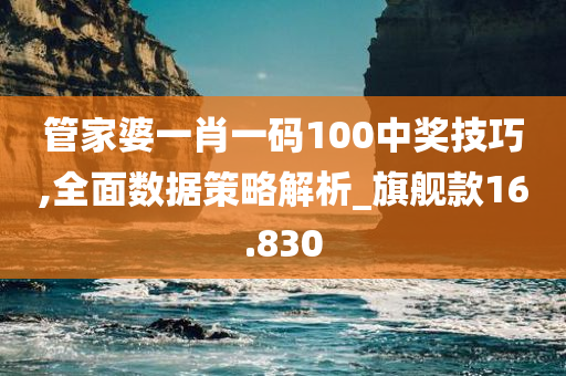 管家婆一肖一码100中奖技巧,全面数据策略解析_旗舰款16.830