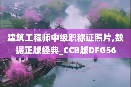 建筑工程师中级职称证照片,数据正版经典_CCB版DFG56