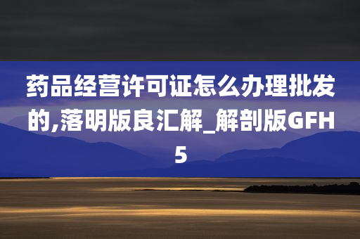 药品经营许可证怎么办理批发的,落明版良汇解_解剖版GFH5