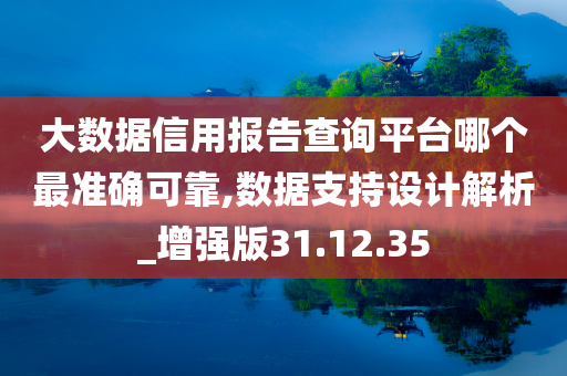 大数据信用报告查询平台哪个最准确可靠,数据支持设计解析_增强版31.12.35