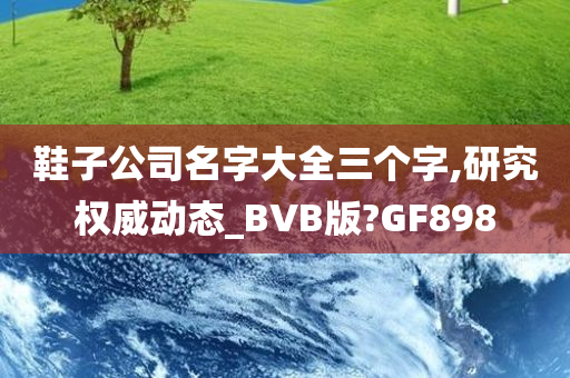 鞋子公司名字大全三个字,研究权威动态_BVB版?GF898