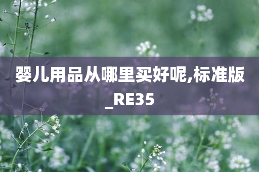 婴儿用品从哪里买好呢,标准版_RE35