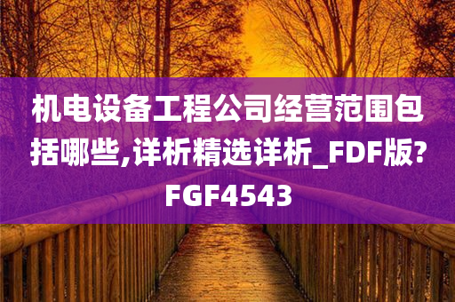 机电设备工程公司经营范围包括哪些,详析精选详析_FDF版?FGF4543