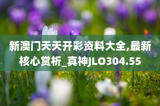 新澳门天天开彩资料大全,最新核心赏析_真神JLO304.55