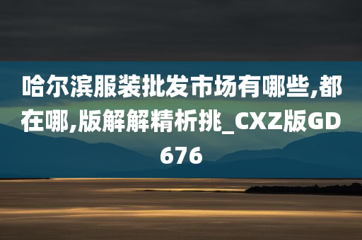 哈尔滨服装批发市场有哪些,都在哪,版解解精析挑_CXZ版GD676