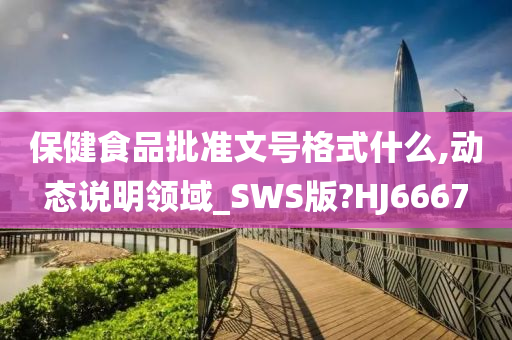 保健食品批准文号格式什么,动态说明领域_SWS版?HJ6667