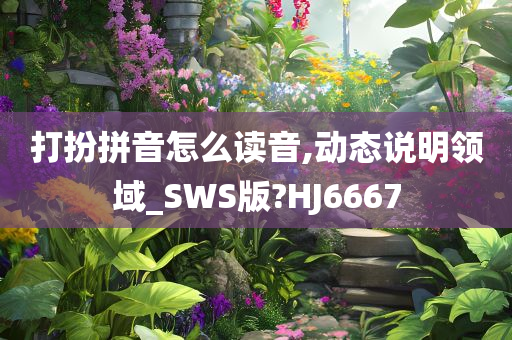 打扮拼音怎么读音,动态说明领域_SWS版?HJ6667